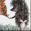 Avatar-animado-Animal-1196.gif