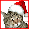 Avatar-animado-Animal-1226.gif