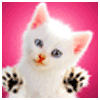 Avatar-animado-Animal-1245.gif