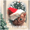 Avatar-animado-Animal-1276.gif
