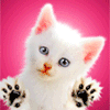 Avatar-animado-Animal-1284.gif