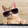 Avatar-animado-Animal-1288.gif