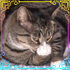 Avatar-animado-Animal-1314.gif