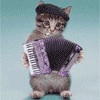 Avatar-animado-Animal-1322.gif
