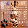 Avatar-animado-Animal-1327.gif