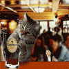 Avatar-animado-Animal-1332.gif