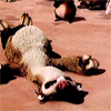Avatar-animado-Animal-1345.gif