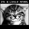Avatar-animado-Animal-1349.gif