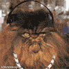 Avatar-animado-Animal-1375.gif