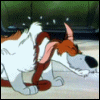 Avatar-animado-Animal-1378.gif