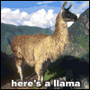 Avatar-animado-Animal-1381.gif