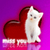 Avatar-animado-Animal-1382.gif