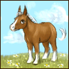 Avatar-animado-Animal-1383.gif
