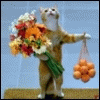 Avatar-animado-Animal-1391.gif
