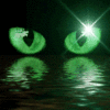 Avatar-animado-Animal-1404.gif