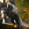 Avatar-animado-Animal-1410.gif