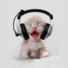 Avatar-animado-Animal-1412.gif