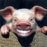Avatar-animado-Animal-142.gif
