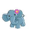 Avatar-animado-Animal-1430.gif
