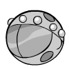 Avatar-animado-Animal-1432.gif