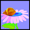 Avatar-animado-Animal-1457.gif