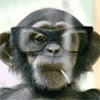 Avatar-animado-Animal-1459.gif