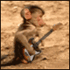 Avatar-animado-Animal-1460.gif