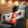 Avatar-animado-Animal-1463.gif