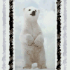 Avatar-animado-Animal-1469.gif