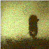 Avatar-animado-Animal-1470.gif