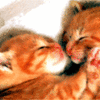 Avatar-animado-Animal-1474.gif