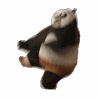 Avatar-animado-Animal-1476.gif
