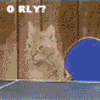 Avatar-animado-Animal-1479.gif