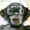Avatar-animado-Animal-1482.gif