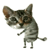 Avatar-animado-Animal-1489.gif