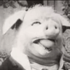 Avatar-animado-Animal-1492.gif