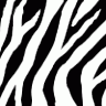 Avatar-animado-Animal-15.gif