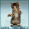Avatar-animado-Animal-169.gif