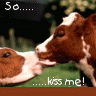 Avatar-animado-Animal-184.gif