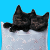 Avatar-animado-Animal-186.gif