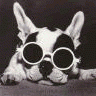 Avatar-animado-Animal-197.gif