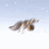 Avatar-animado-Animal-202.gif