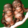 Avatar-animado-Animal-203.gif
