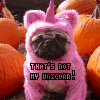 Avatar-animado-Animal-205.gif