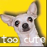 Avatar-animado-Animal-208.gif