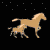 Avatar-animado-Animal-211.gif