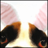 Avatar-animado-Animal-223.gif
