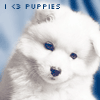 Avatar-animado-Animal-228.gif