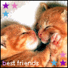 Avatar-animado-Animal-241.gif