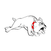 Avatar-animado-Animal-247.gif